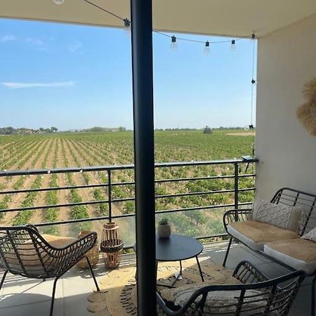 Appartement Vue Vigne Περπινιάν Εξωτερικό φωτογραφία