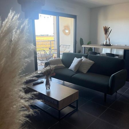Appartement Vue Vigne Περπινιάν Εξωτερικό φωτογραφία