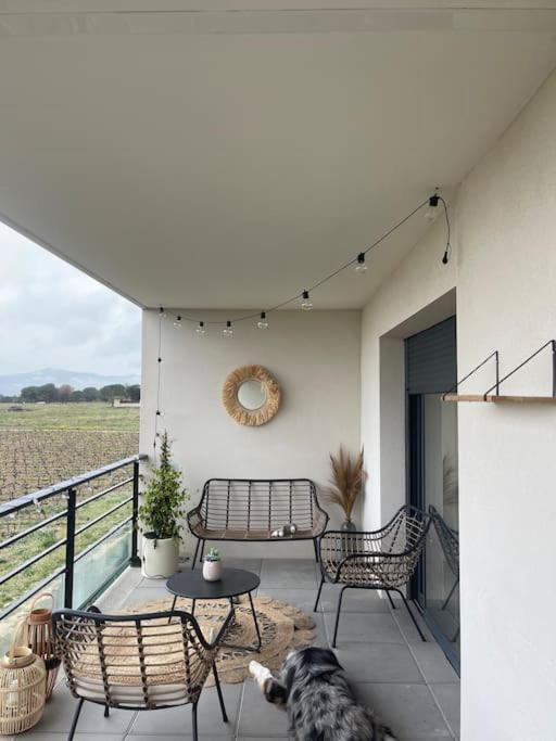 Appartement Vue Vigne Περπινιάν Εξωτερικό φωτογραφία