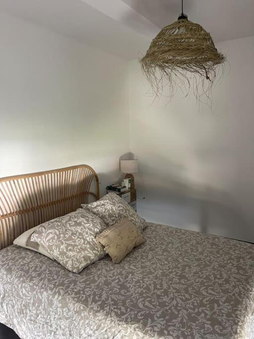 Appartement Vue Vigne Περπινιάν Εξωτερικό φωτογραφία