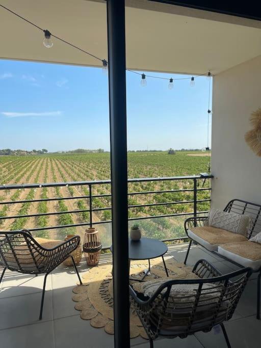 Appartement Vue Vigne Περπινιάν Εξωτερικό φωτογραφία
