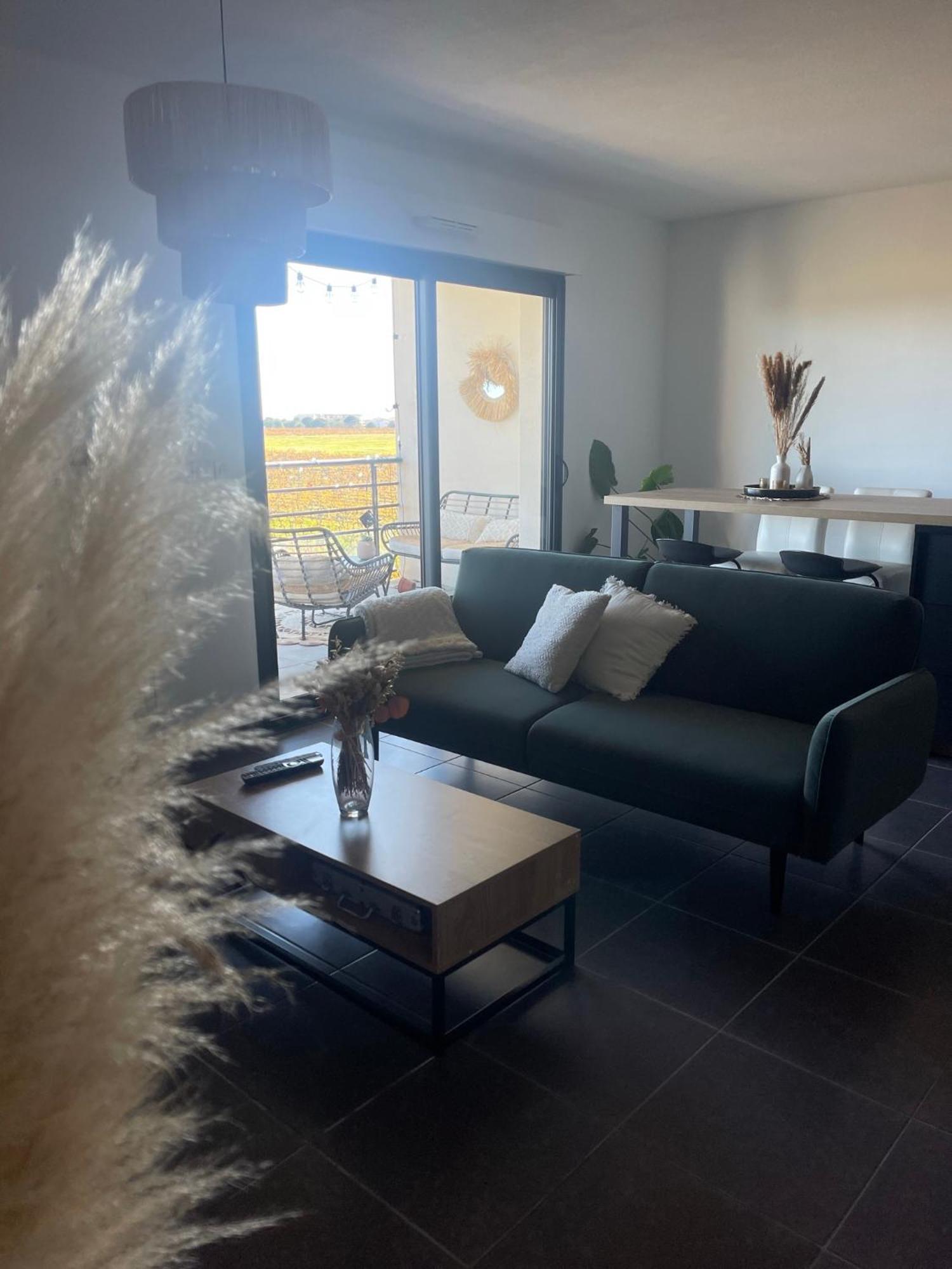 Appartement Vue Vigne Περπινιάν Εξωτερικό φωτογραφία